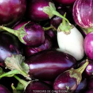 Aubergine