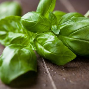 Basilic