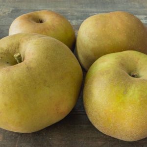 Pomme Canada