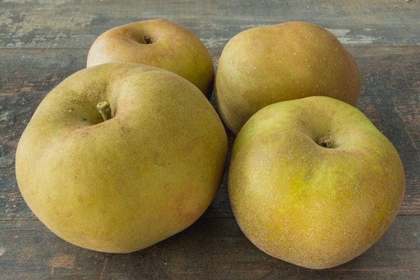 Pomme Canada