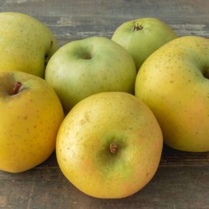 Pomme Chanteclerc