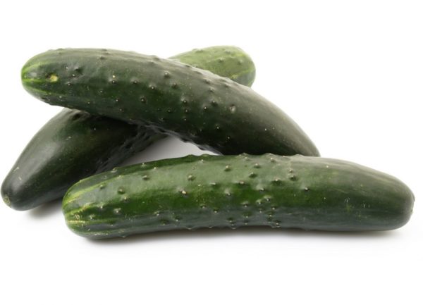 Concombre