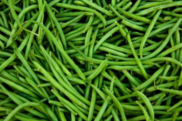 Haricot vert