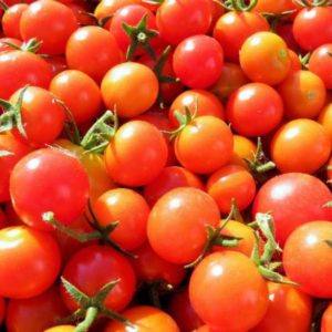 Tomate cerise